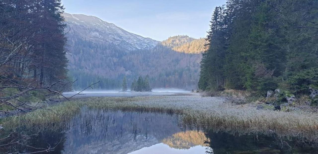 Ledererhof Lunz Am See Exteriér fotografie