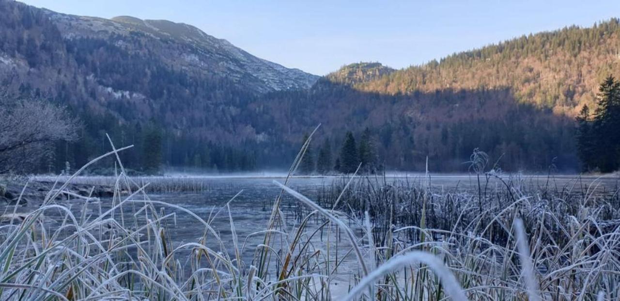 Ledererhof Lunz Am See Exteriér fotografie